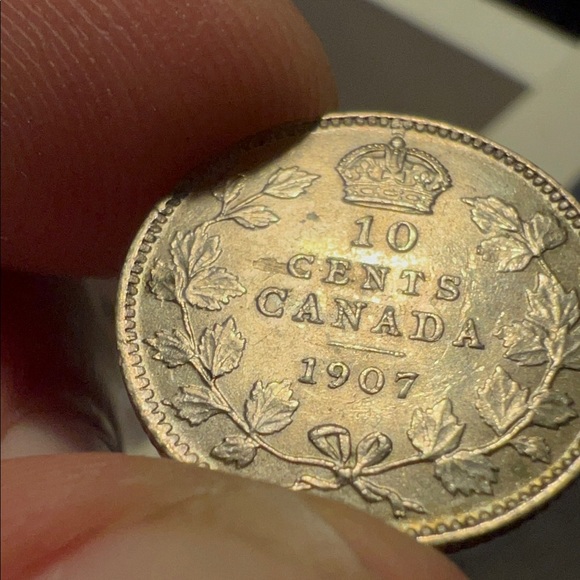 Meet your Posher, Hadley - Picture 5 of 8